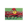 Fraise rotative Caroni  FL0900ASC