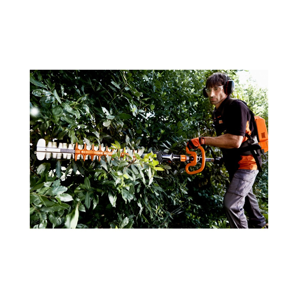 Taille Haies sur perche BCL 115