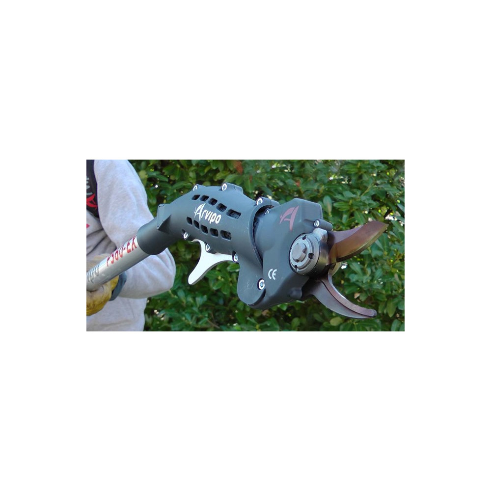Perche 1.40m