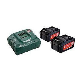 set batteries 2x4.0Ah