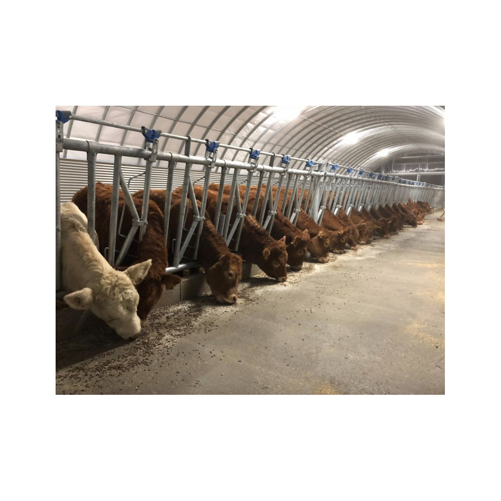 Tunnel de stockage Asthor 15.00m chez MELAIN MOTOCULTURE