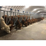 Tunnel de stockage Asthor 15.00m chez MELAIN MOTOCULTURE