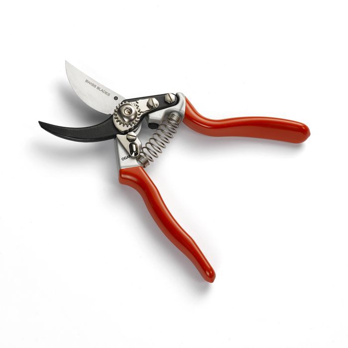 Outils de taille et coupe