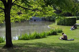 Travaux d'entretien de parcs et jardins